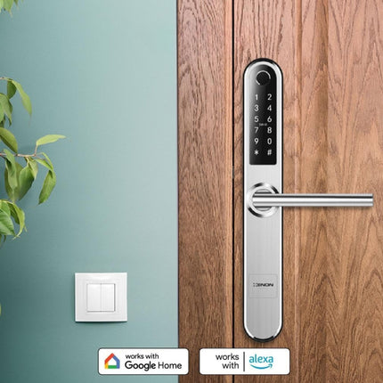 Akıllı Kapı Kilidi Parmak İzi Şifre Girişli Gümüş