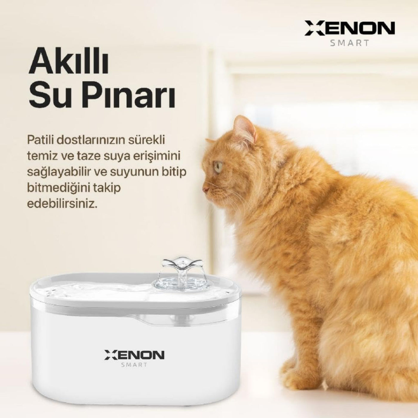 Akıllı Kedi Su Pınarı Şeffaf