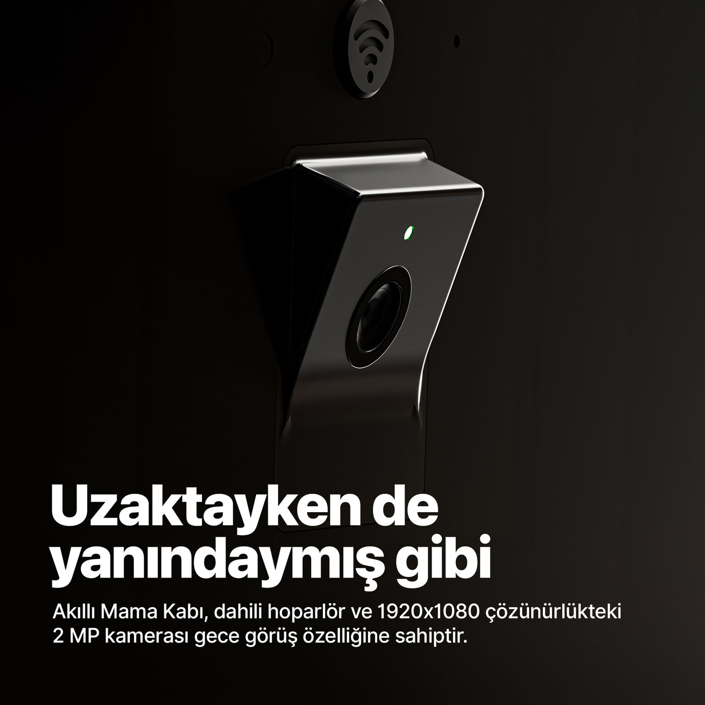 Akıllı Çift Kaseli Mama Kabı