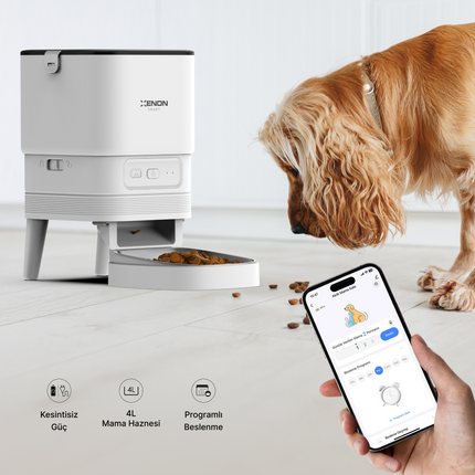 Akıllı Kameralı Kedi Tuvaleti, Mama Kabı ve Su Pınarı 4'lü Pet Ürünleri Seti