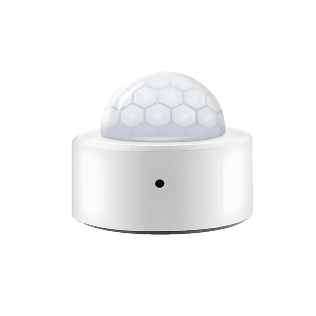 Hareket Sensörü Zigbee