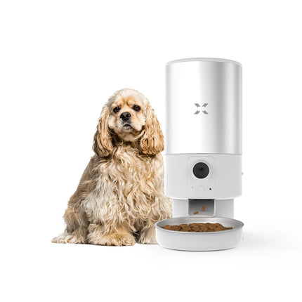 Akıllı Kedi Tuvaleti, Çelik Mama Kabı ve Otomatik Su Pınarı 4'lü Pet Ürünleri Seti