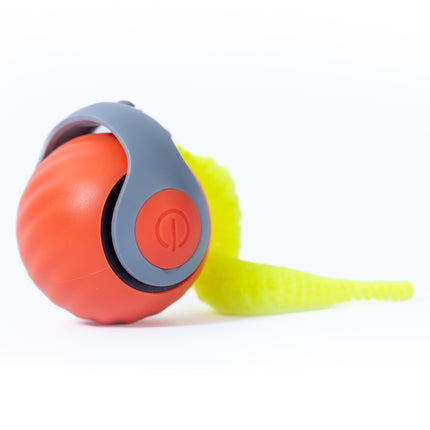 EVCİL HAYVAN KOŞU TOPU