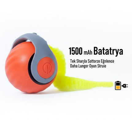 EVCİL HAYVAN KOŞU TOPU