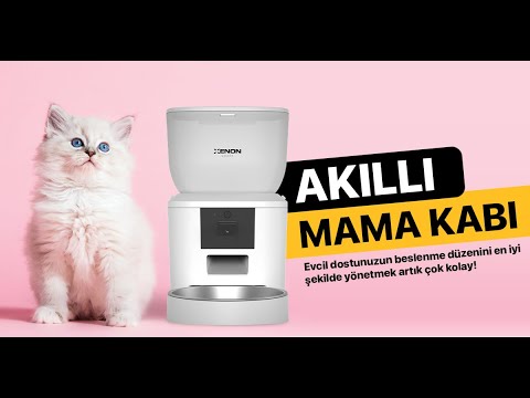 Akıllı Otomatik Kedi Mama Kabı