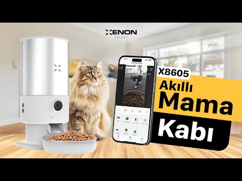 Akıllı Çelik Mama Kabı