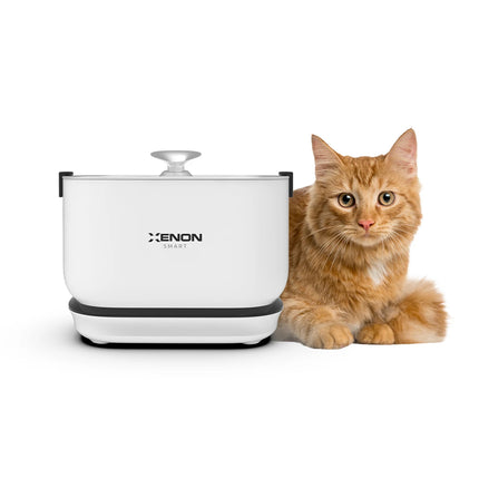 Akıllı Kedi Tuvaleti , Çelik Mama Kabı ve Otomatik Su Pınarı