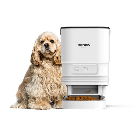 Akıllı Kedi Tuvaleti, Mama Kabı ve Çelik Su Pınarı 4'lü Pet Ürünleri Seti