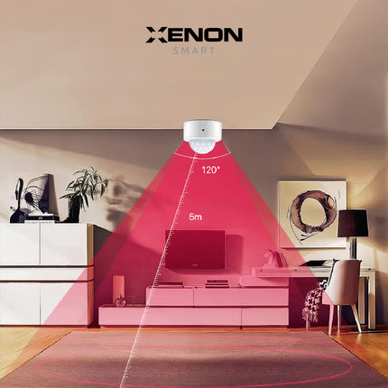 Hareket Sensörü Zigbee